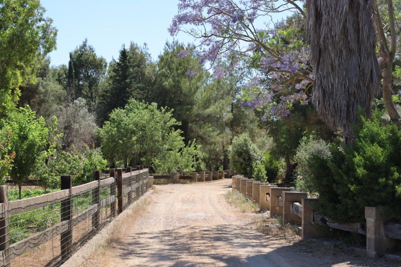 Tenuta Negroamaro 4* Gallipoli